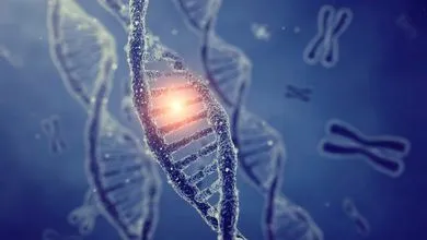 Biyomühendislik: Yaşam Bilimleri ve Mühendisliğin Buluştuğu Nokta Biyomühendislik: Yaşam Bilimleri ve Mühendisliğin Buluştuğu Nokta