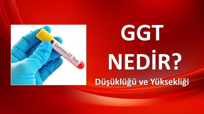 Gama Glutamil Transferaz (GGT) nedir Gama Glutamil Transferaz (GGT) nedir