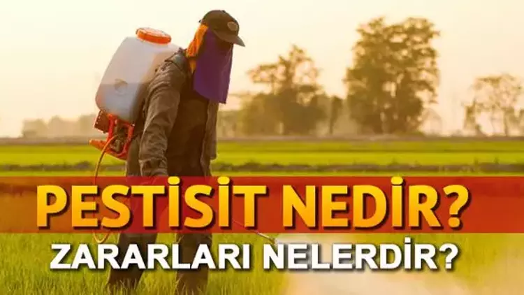 Pestisit Nedir Pestisit Nedir