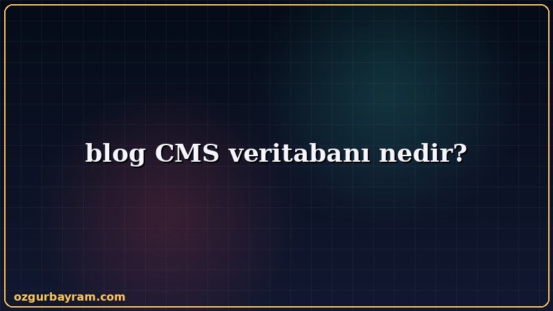 blog CMS veritabanı nedir?