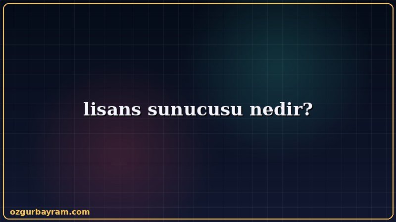 lisans sunucusu nedir?