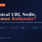 Canonical URL Nedir, Ne Zaman Kullanılır?