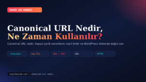 Canonical URL Nedir, Ne Zaman Kullanılır?
