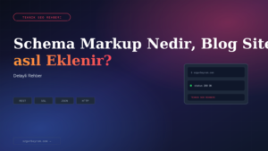 Schema Markup Nedir, Blog Sitesine Nasıl Eklenir?