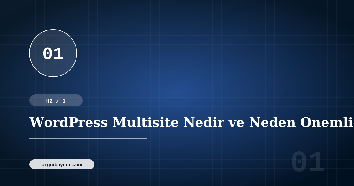 WordPress Multisite Nedir ve Neden Onemlidir?
