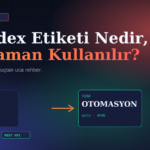 Noindex Etiketi Nedir, Ne Zaman Kullanılır?