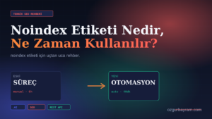 Noindex Etiketi Nedir, Ne Zaman Kullanılır?